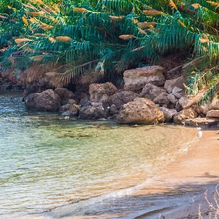 فيلة Queen Valentina